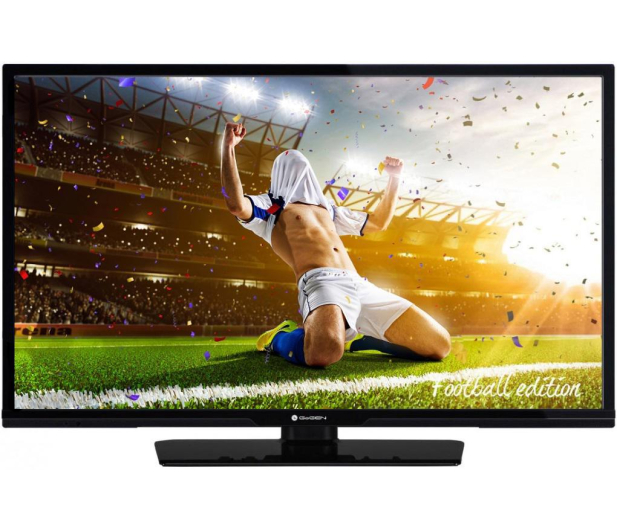 Gogen TV GOGEN 32" TTVF32R15FE FHD, SmartTV # - 1387962 - zdjęcie